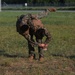 U.S. Marines conduct a Marine Corps Martial Arts Program (MCMAP) course at Atlantic Alliance '25 (AA25)