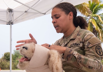 Navy Medicine Readiness and Training Command (NMRTC) Guantanamo Bay hosts K-9 Tactical Combat Casualty Care Training