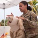 Navy Medicine Readiness and Training Command (NMRTC) Guantanamo Bay hosts K-9 Tactical Combat Casualty Care Training