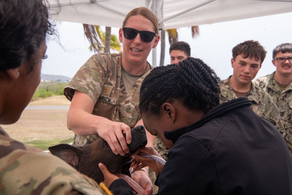 Navy Medicine Readiness and Training Command (NMRTC) Guantanamo Bay hosts K-9 Tactical Combat Casualty Care Training