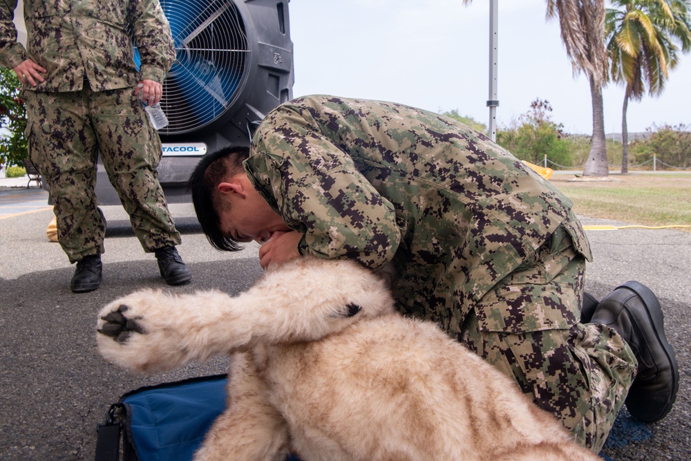 Navy Medicine Readiness and Training Command (NMRTC) Guantanamo Bay hosts K-9 Tactical Combat Casualty Care Training