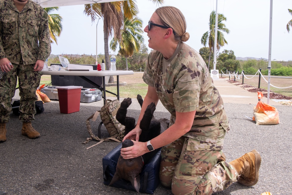 Navy Medicine Readiness and Training Command (NMRTC) Guantanamo Bay hosts K-9 Tactical Combat Casualty Care Training