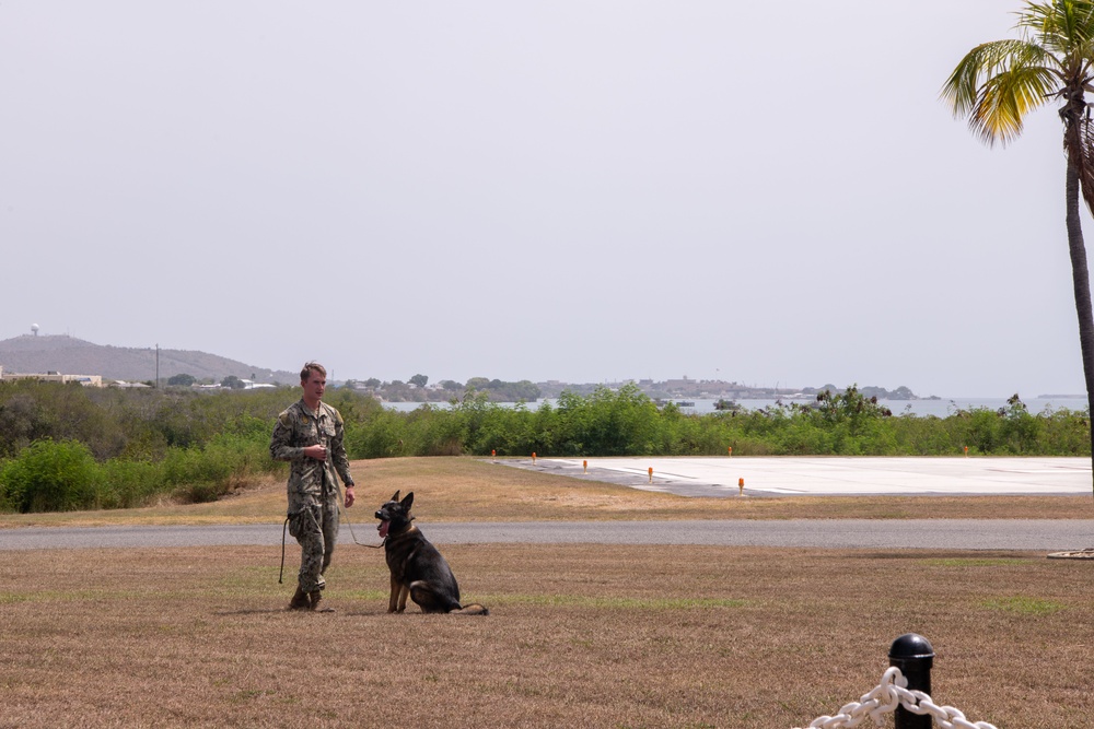 Navy Medicine Readiness and Training Command (NMRTC) Guantanamo Bay hosts K-9 Tactical Combat Casualty Care Training