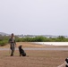 Navy Medicine Readiness and Training Command (NMRTC) Guantanamo Bay hosts K-9 Tactical Combat Casualty Care Training