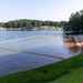 Lake Lanier 4th of July Weekend - Burton Mill swim area