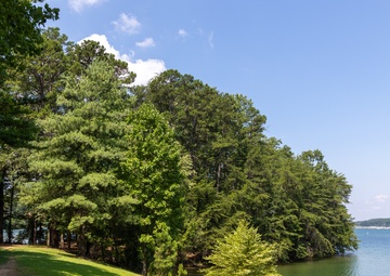 Lake Lanier 4th of July Weekend - Shoreline view at Burton Mill
