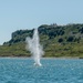 Sea Breeze 2025-2 Explosive Ordnance Disposal Mine Countermeasure