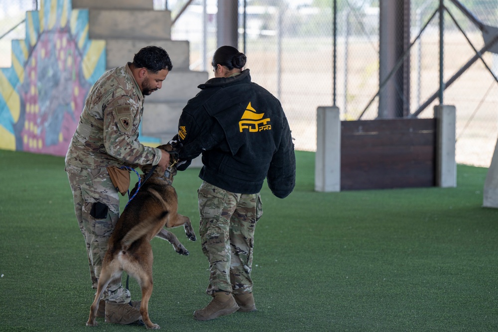 Four-Legged Defenders on Duty: 39th SFS Showcases Mission Readiness
