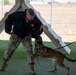 Four-Legged Defenders on Duty: 39th SFS Showcases Mission Readiness