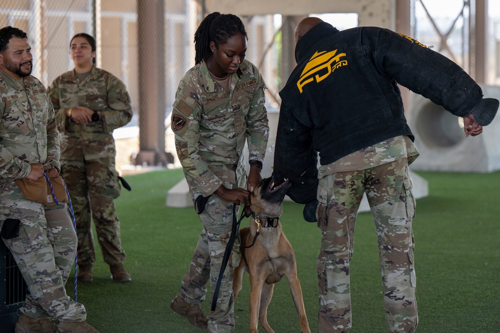 Four-Legged Defenders on Duty: 39th SFS Showcases Mission Readiness