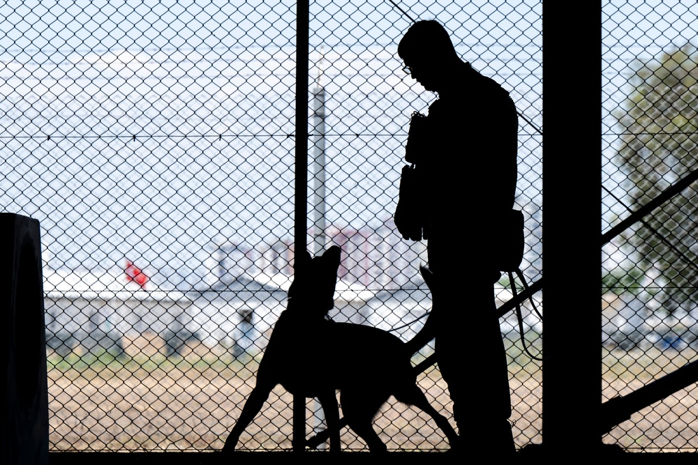 Four-Legged Defenders on Duty: 39th SFS Showcases Mission Readiness