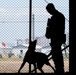Four-Legged Defenders on Duty: 39th SFS Showcases Mission Readiness