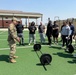 Air Force physical therapist strengthens readiness at Osan Air Base