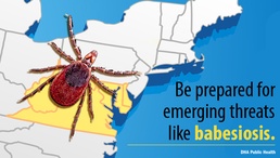 Babesiosis, Lyme Disease Emerging Co-Infection Threat from Deer Ticks in Maryland