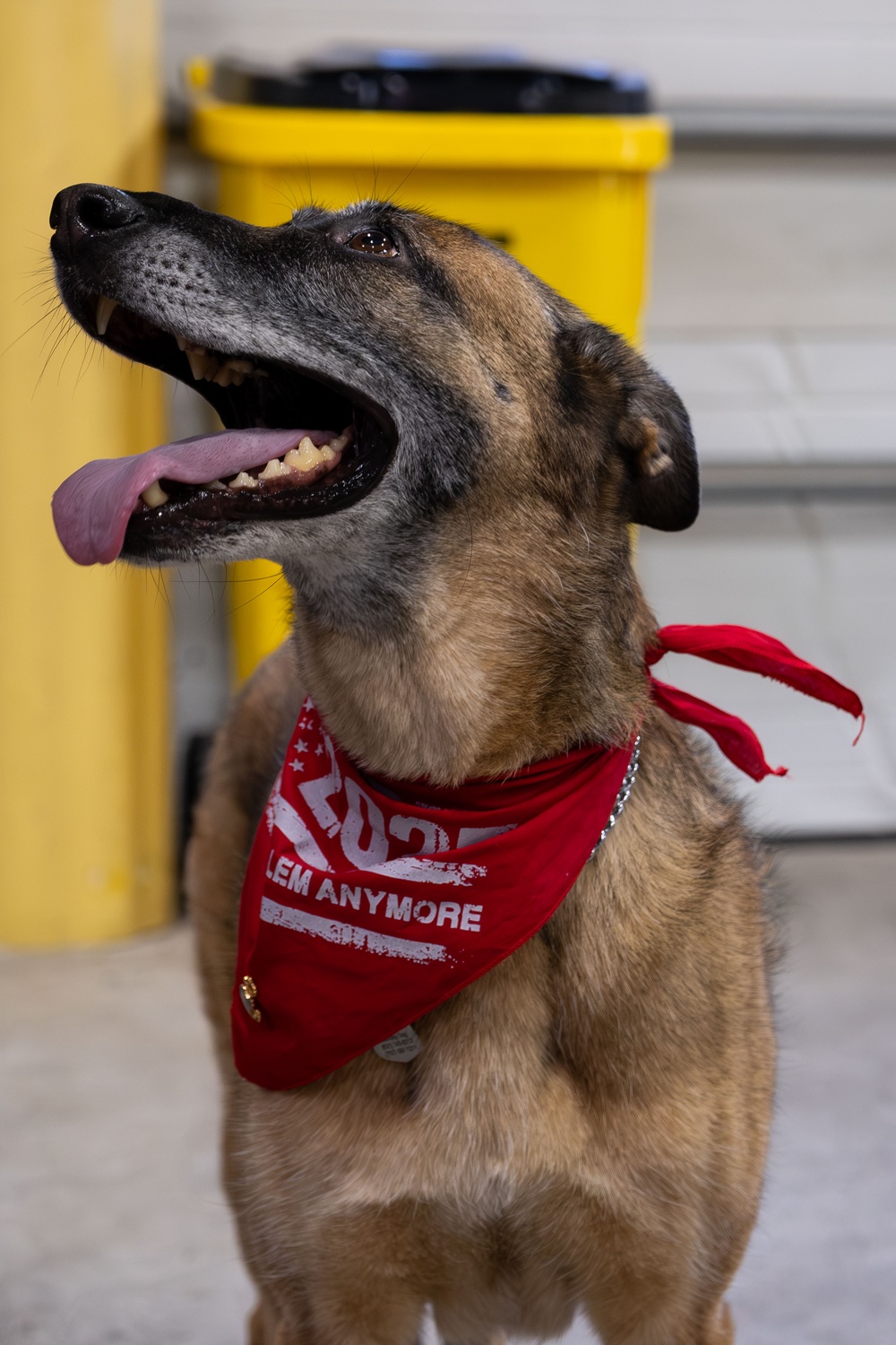 K-9 Ani Honored During Retirement Ceremony at Maritime Safety and Security Team New York