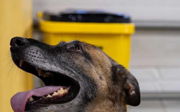 K-9 Ani Honored During Retirement Ceremony at Maritime Safety and Security Team New York