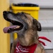 K-9 Ani Honored During Retirement Ceremony at Maritime Safety and Security Team New York
