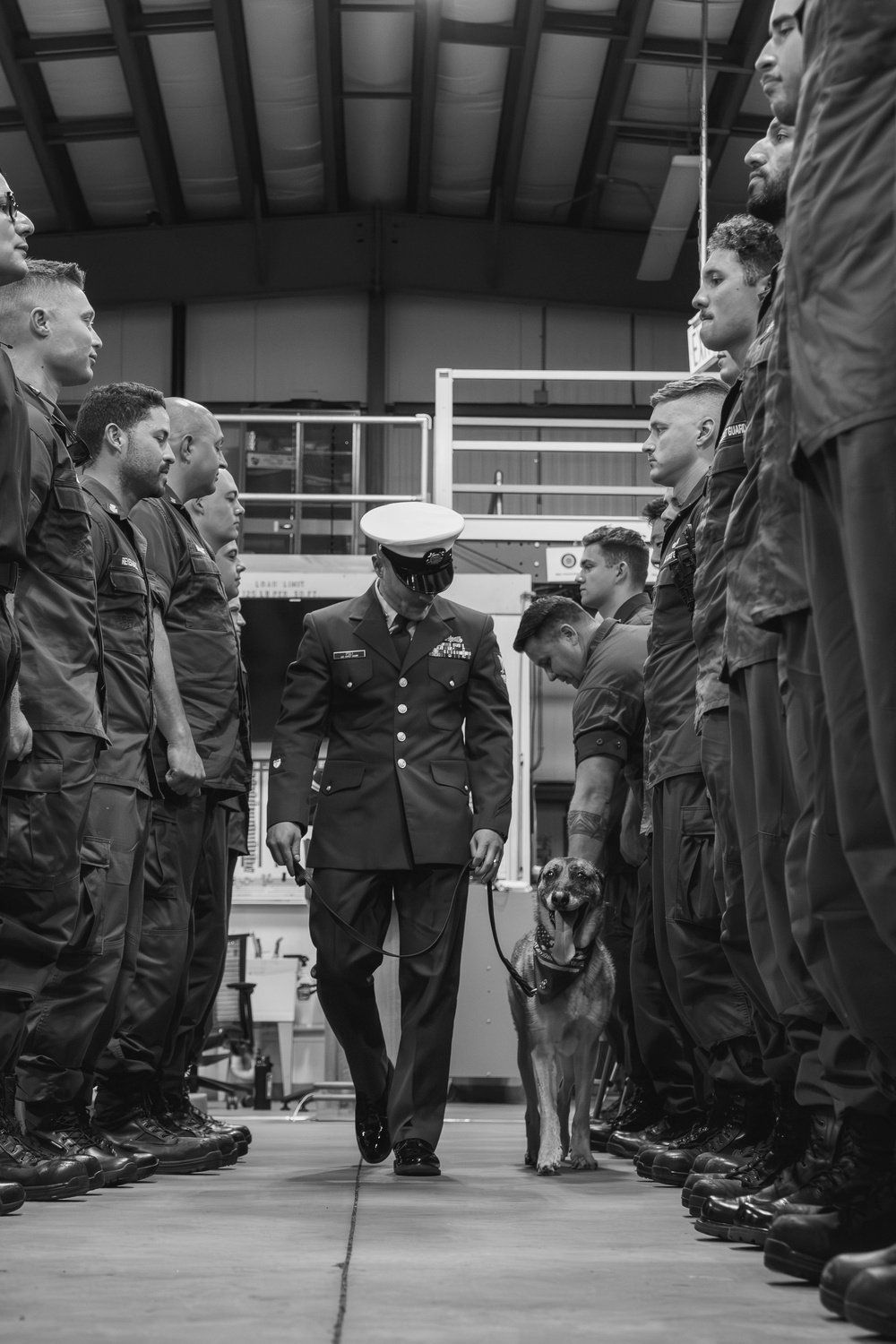 K-9 Ani Honored During Retirement Ceremony at Maritime Safety and Security Team New York