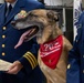 K-9 Ani Honored During Retirement Ceremony at Maritime Safety and Security Team New York