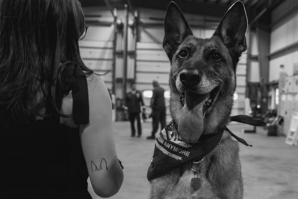 K-9 Ani Honored During Retirement Ceremony at Maritime Safety and Security Team New York