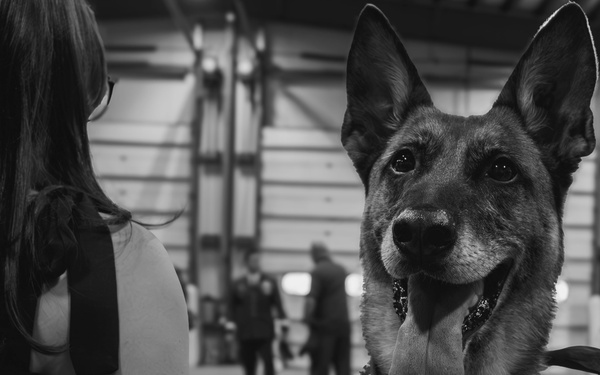 K-9 Ani Honored During Retirement Ceremony at Maritime Safety and Security Team New York