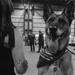 K-9 Ani Honored During Retirement Ceremony at Maritime Safety and Security Team New York