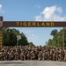 JAF and U.S. Army Demonstrate Combined Lethality in Joint Readiness Training Center Debut