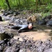300-plus people fight through obstacles in 2025 trail run event at Fort McCoy