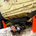 300-plus people fight through obstacles in 2025 trail run event at Fort McCoy