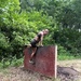 300-plus people fight through obstacles in 2025 trail run event at Fort McCoy