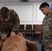 U.S. Marines conduct Combat Lifesaver course to support southern border mission