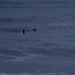V31 conducts EOTG Boat Raid Course