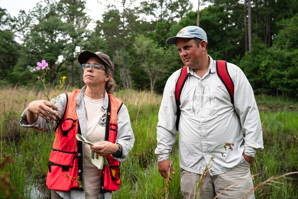 Rapid Wetland Assessment | Wet Pine Flatwood
