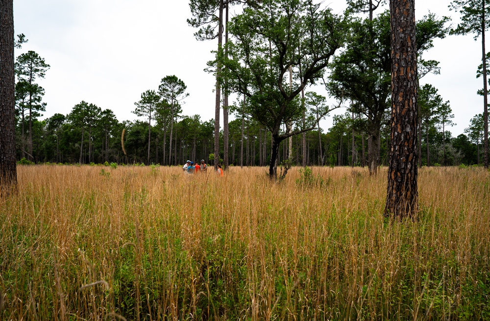 Rapid Wetland Assessment | Wet Pine Flatwood