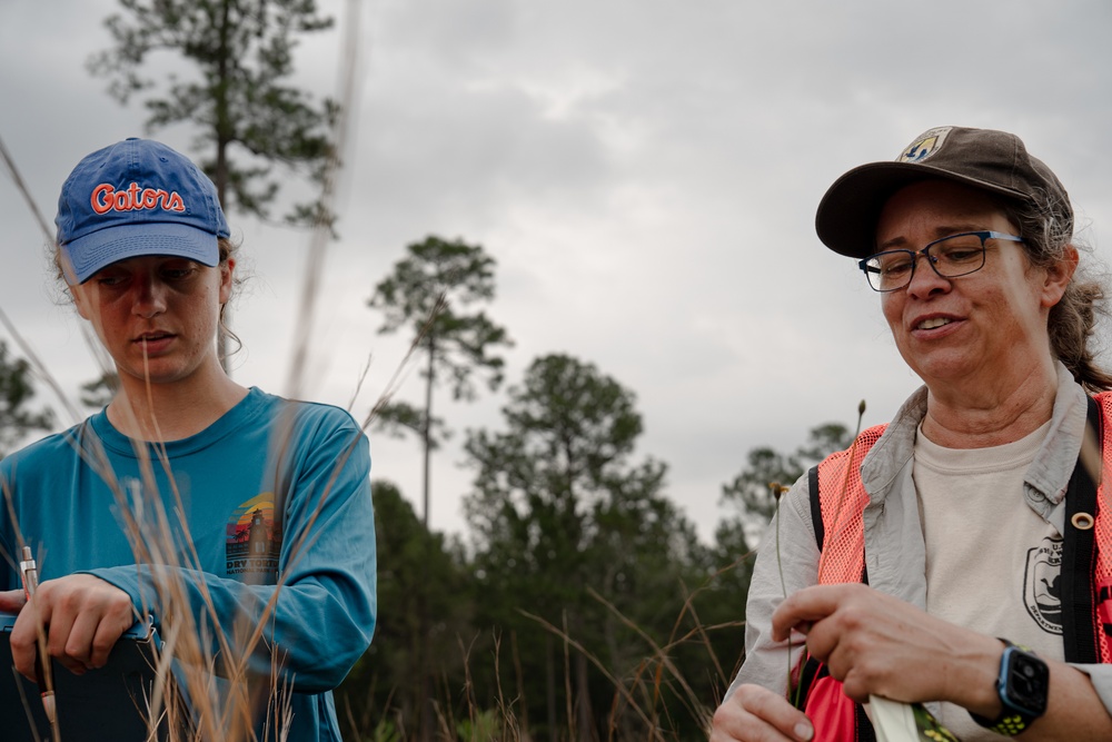 Rapid Wetland Assessment | Wet Pine Flatwood