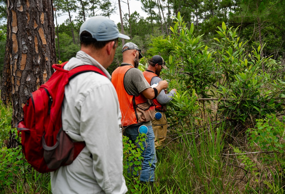 Rapid Wetland Assessment | Wet Pine Flatwood