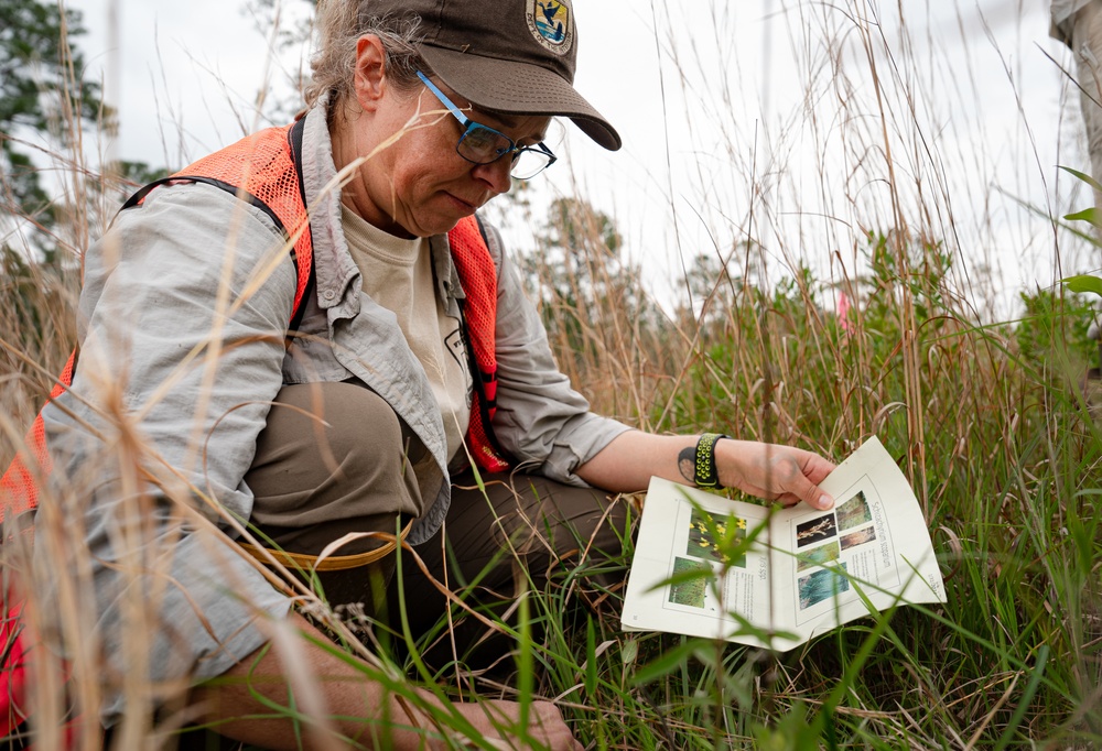 Rapid Wetland Assessment | Wet Pine Flatwood