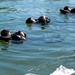 SERE Water Survival Training