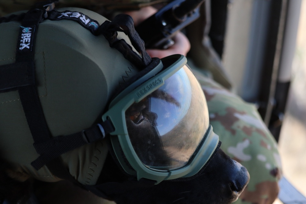2nd Battalion, 12th Infantry Regiment conducts aerial patrol with Border Patrol