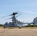 Ospreys Land at Joint Base Cape Cod