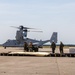 Ospreys Land at Joint Base Cape Cod