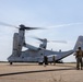 Ospreys Land at Joint Base Cape Cod
