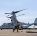 Ospreys Land at Joint Base Cape Cod