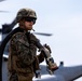 Ospreys Land at Joint Base Cape Cod