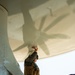 Sailors and contractors prep aircraft for launch