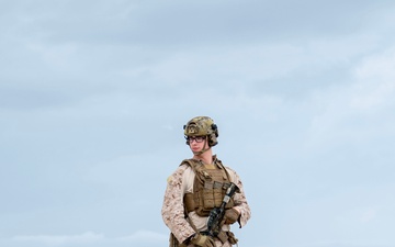 DoD, interagency partners support Operation Southern Guard