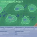 Bamboo Eagle ACE Infographic Series