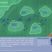 Bamboo Eagle ACE Infographic Series