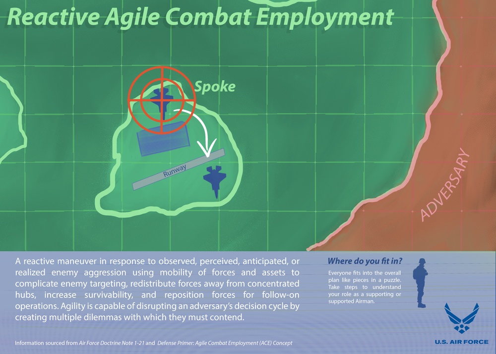 Bamboo Eagle ACE Infographic Series