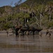31st MEU | Amphibious Assault
